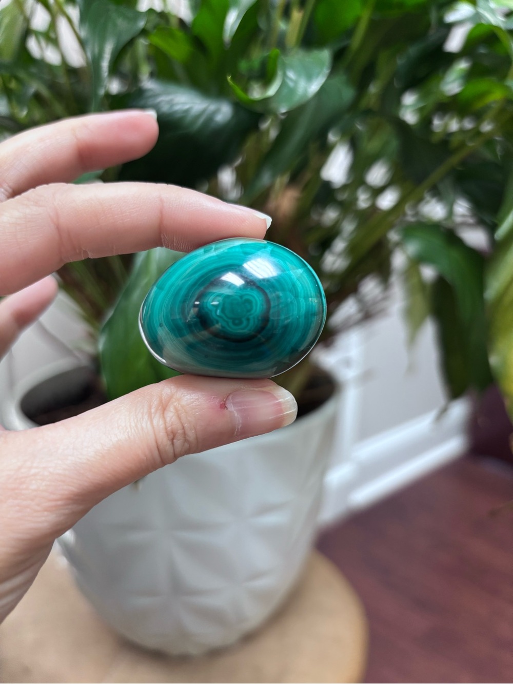Polished Malachite Pocket Stone egg - dark green